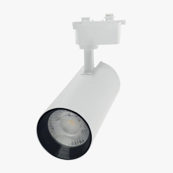 10EN 12V/24V Led Rail Spot White Case