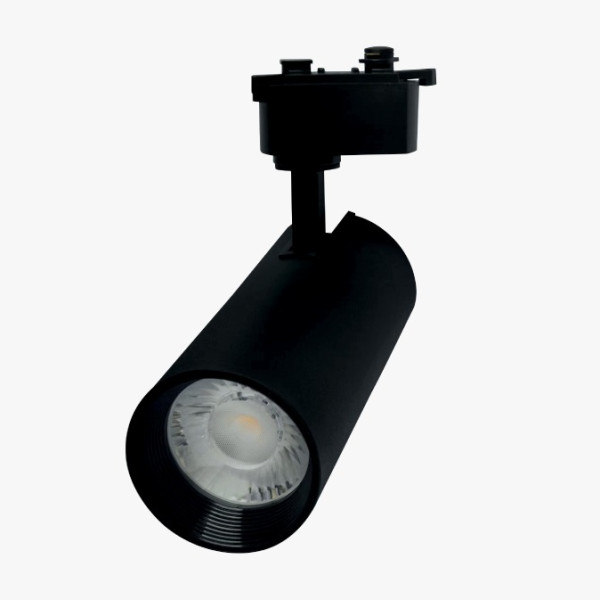 10EN 12V/24V Led Rail Spot Black Case